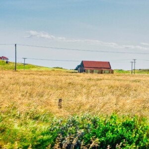 Iceland A house in a green field in Iceland