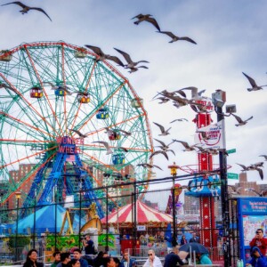 Wonder Wheel A photo of some birds flying in front of the the wonder wheel at Coney Island