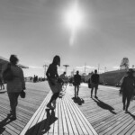 Image facing the sun of a single Coney Island Dancer